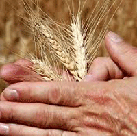 La Carità rende liberi-Martedì della II settimana del Tempo Ordinario (Anno dispari) – Sant’Antonio, abate