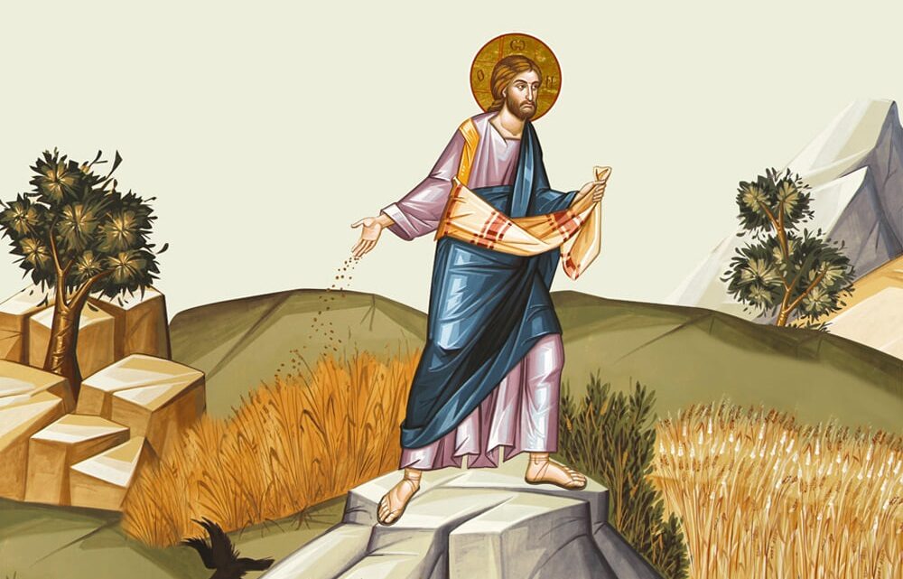 Semi d’umanità per germogli di vita eterna – Sabato della XXIV settimana del Tempo Ordinario (Anno pari)